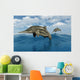 Ichthyosaurs Jumping out Water Wall Decal