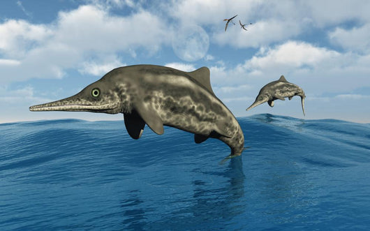Ichthyosaurs Jumping out Water Wall Decal