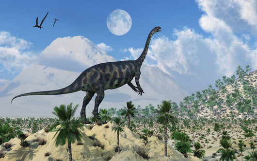 Massospondylus Dinosaur Day Wall Decal