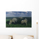 Pachyrhinosaurus Dinosaurs Grazing Wall Decal