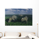 Pachyrhinosaurus Dinosaurs Grazing Wall Decal