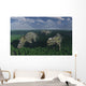 Pachyrhinosaurus Dinosaurs Grazing Wall Decal