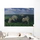 Pachyrhinosaurus Dinosaurs Grazing Wall Decal