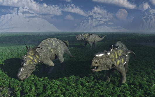 Pachyrhinosaurus Dinosaurs Grazing Wall Decal