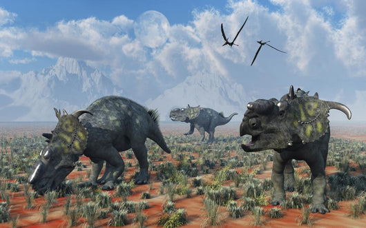 Pachyrhinosaurus Dinosaurs Grazing Desert Wall Decal