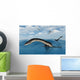 Plesiosaurs Their Marine Habitat Wall Decal