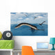 Plesiosaurs Their Marine Habitat Wall Decal