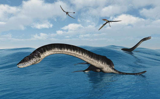 Plesiosaurs Their Marine Habitat Wall Decal