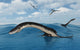 Plesiosaurs Their Marine Habitat Wall Decal