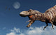 Profile Tyrannosaurus Rex Wall Decal