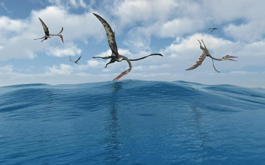 Flock Quetzalcoatlus Fishing Wall Decal