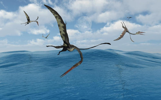 Flock Quetzalcoatlus Fishing Close-up Wall Decal