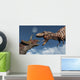 Tyrannosaurus Rex Confronting Triceratops Wall Decal