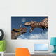 Tyrannosaurus Rex Confronting Triceratops Wall Decal