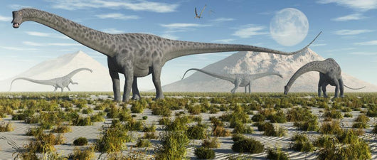 Herd Diplodocus Sauropod Dinosaurs Wall Decal