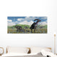 Herd Parasaurolophus Dinosaurs during Wall Decal