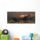 Herd Parasaurolophus Dinosaurs Dawn Wall Decal