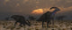 Herd Parasaurolophus Dinosaurs Dawn Wall Decal