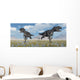 Carnivorous Allosaurus Dinosaurs during Wall Decal