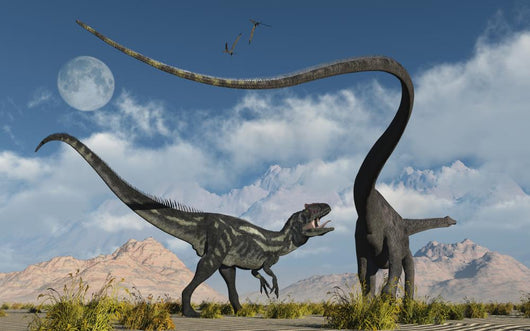 Allosaurus Deadly Battle Wall Decal