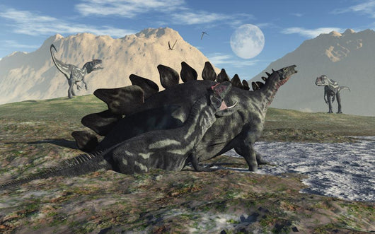 Stegosaurus and Allosaurus Caught Wall Decal