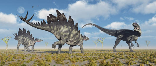 Pair Stegosaurus Dinosaurs Confronting Wall Decal