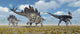 Pair Stegosaurus Dinosaurs Confronting Wall Decal