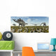 Mixed Herd Stegosaurus and Wall Decal