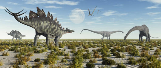 Mixed Herd Stegosaurus and Wall Decal