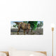 Confrontation with Carnivorous Tyrannosaurus Wall Decal
