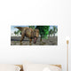 Confrontation with Carnivorous Tyrannosaurus Wall Decal