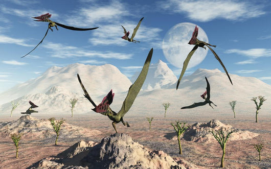 Flock Thalassodromeus Pterosaurs Wall Decal