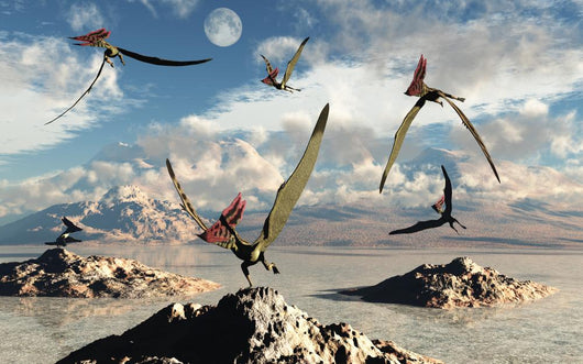 Flock Thalassodromeus Pterosaurs Evening Wall Decal