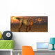 Asteroid Hitting Earth Marking T-rex Evening Wall Decal