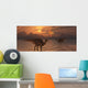 Asteroid Hitting Earth Marking Evening Wall Decal