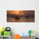 Asteroid Hitting Earth Marking Evening Wall Decal