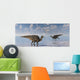 Asteroid Hitting Earth Marking Wall Decal