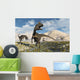 Cryolophosaurus Dinosaurs Roaming during Wall Decal