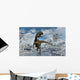 Cryolophosaurus Dinosaur Walking along Wall Decal