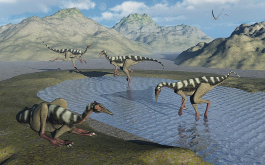 Gathering Pelecanimimus Dinosaurs around Wall Decal