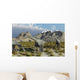 Herd Camarasaurus Sauropod Dinosaurs Wall Decal