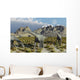 Herd Camarasaurus Sauropod Dinosaurs Wall Decal