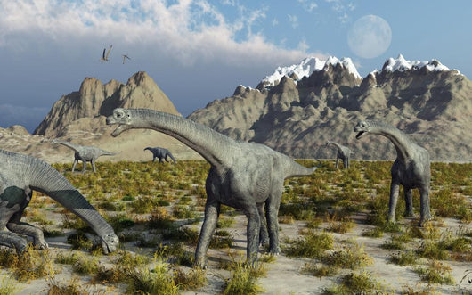 Herd Camarasaurus Sauropod Dinosaurs Wall Decal