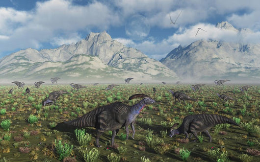 Herd Parasaurolophus Duckbill Dinosaurs Wall Decal