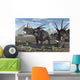 Herd Styracosaurus Dinosaurs Wall Decal