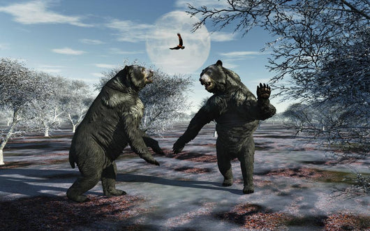Pair Arctodus Bears Territorial Wall Decal
