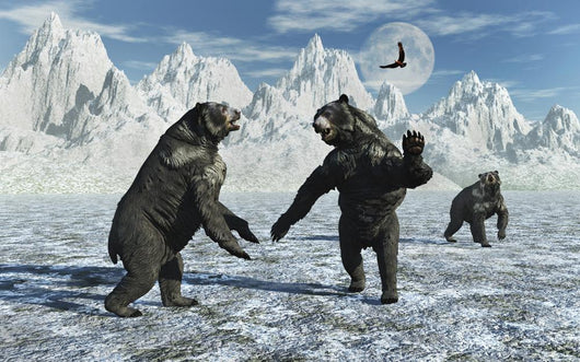 Pair Arctodus Bears Territorial Arctic Wall Decal