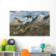 Pack Carnivorous Compsognathus Dinosaurs Hills Wall Decal