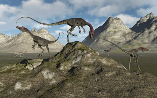 Pack Carnivorous Compsognathus Dinosaurs Hills Wall Decal