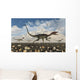 Pack Carnivorous Compsognathus Dinosaurs Wall Decal
